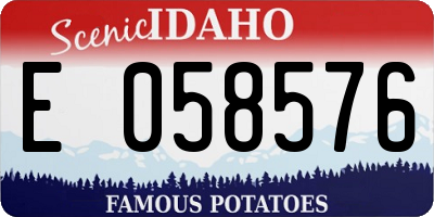 ID license plate E058576