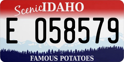 ID license plate E058579