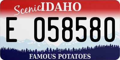 ID license plate E058580