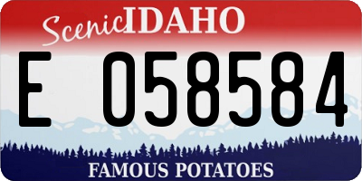 ID license plate E058584