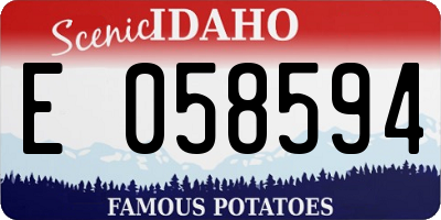 ID license plate E058594