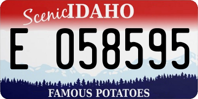 ID license plate E058595