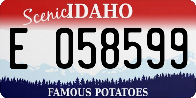 ID license plate E058599
