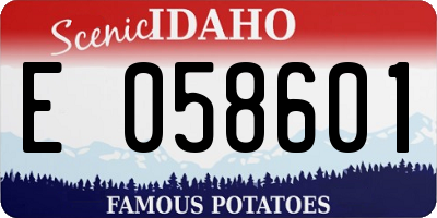 ID license plate E058601