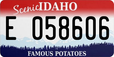 ID license plate E058606