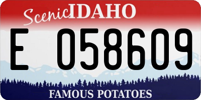 ID license plate E058609