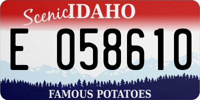 ID license plate E058610