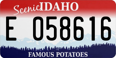 ID license plate E058616