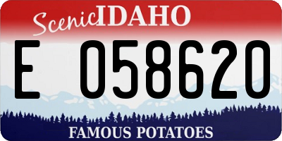 ID license plate E058620