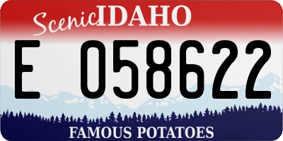 ID license plate E058622
