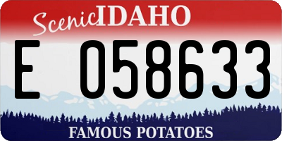 ID license plate E058633