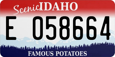 ID license plate E058664