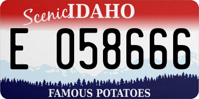 ID license plate E058666