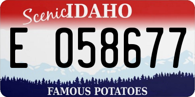 ID license plate E058677