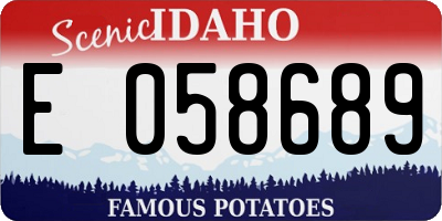 ID license plate E058689