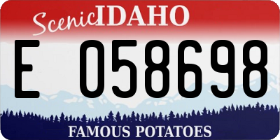 ID license plate E058698