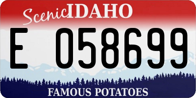 ID license plate E058699