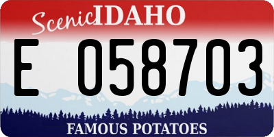 ID license plate E058703