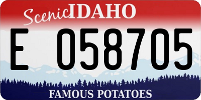 ID license plate E058705
