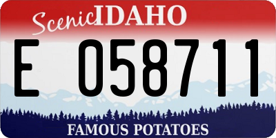 ID license plate E058711