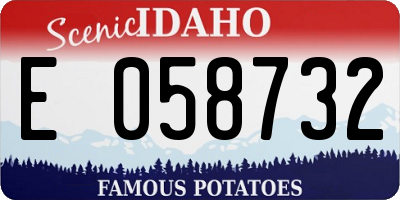 ID license plate E058732