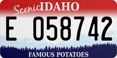 ID license plate E058742