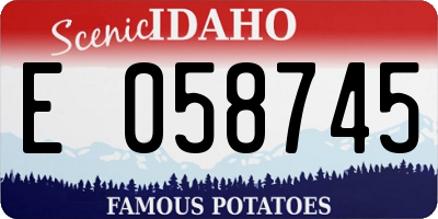 ID license plate E058745