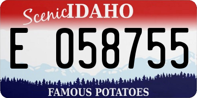 ID license plate E058755