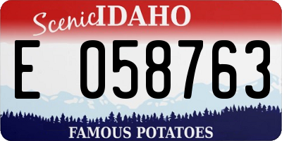 ID license plate E058763