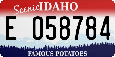ID license plate E058784