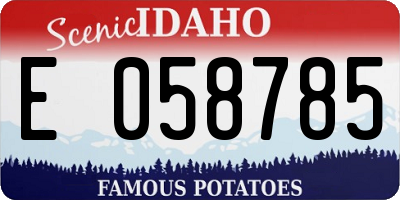ID license plate E058785