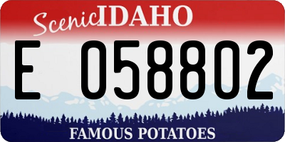 ID license plate E058802