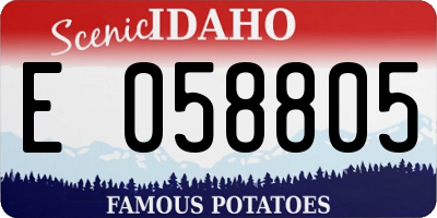 ID license plate E058805