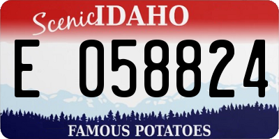 ID license plate E058824