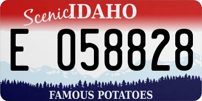 ID license plate E058828