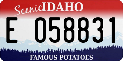 ID license plate E058831