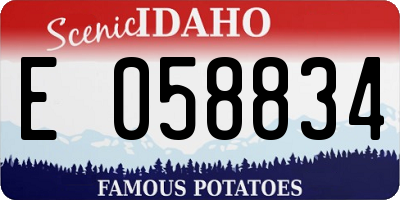 ID license plate E058834