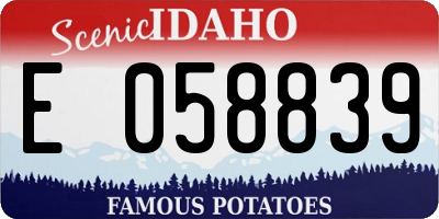 ID license plate E058839
