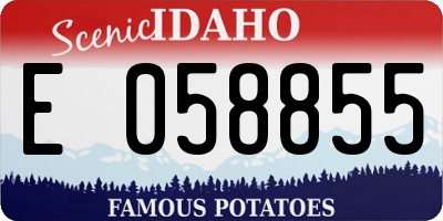 ID license plate E058855