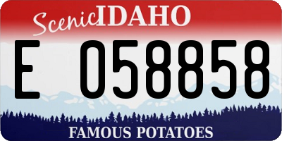 ID license plate E058858