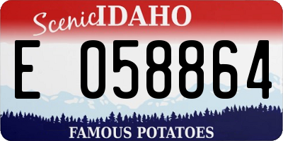 ID license plate E058864