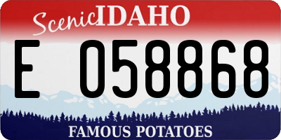 ID license plate E058868