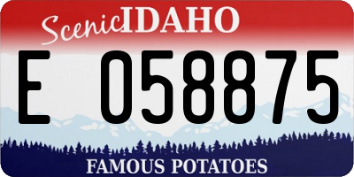 ID license plate E058875