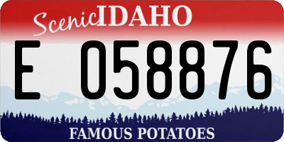 ID license plate E058876