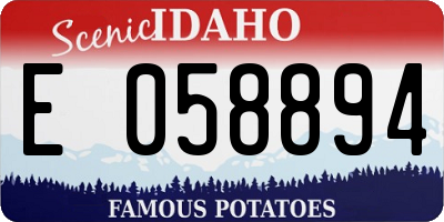 ID license plate E058894