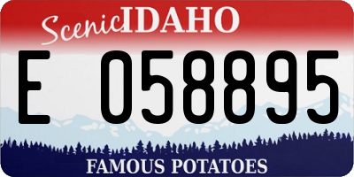 ID license plate E058895