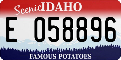 ID license plate E058896
