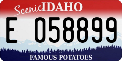 ID license plate E058899