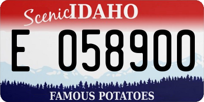 ID license plate E058900