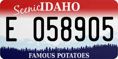 ID license plate E058905